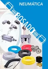 NEUMATICA